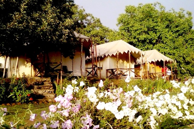 Book Tree Houses In Kufri At Best Prices Guesthouser