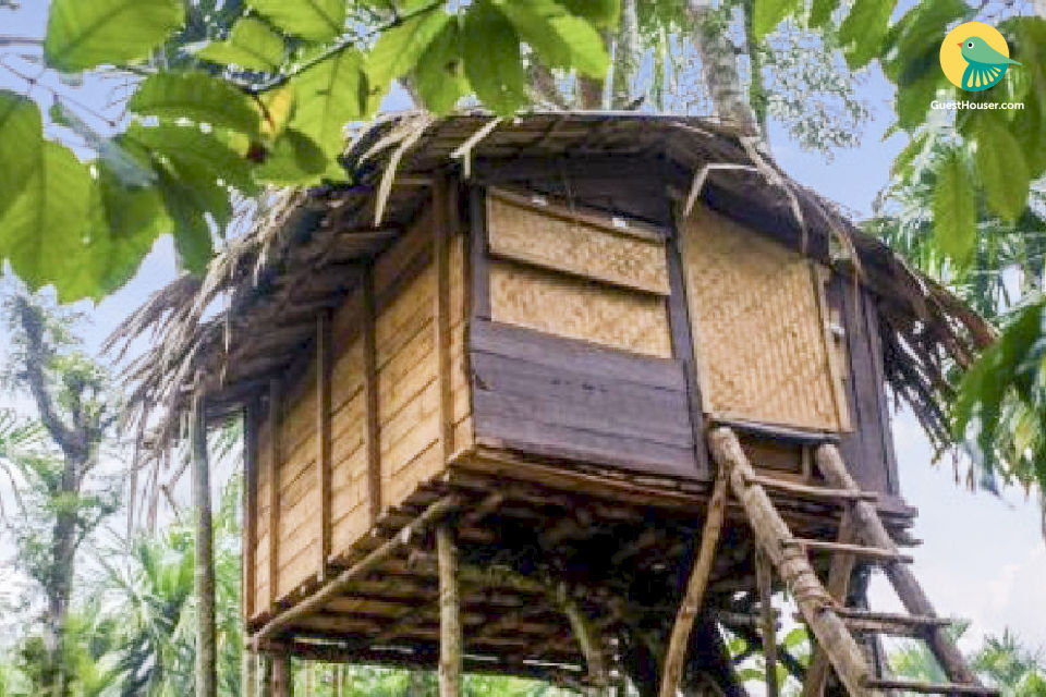 Book Tree House Rooms In Wayanad Kerala 29235 Vythiri resort is a best luxury tree house resort in wayanad, kerala, south india with honeymoon resort tour package facilities with luxury tree house in wayanad. tree house rooms in wayanad kerala 29235