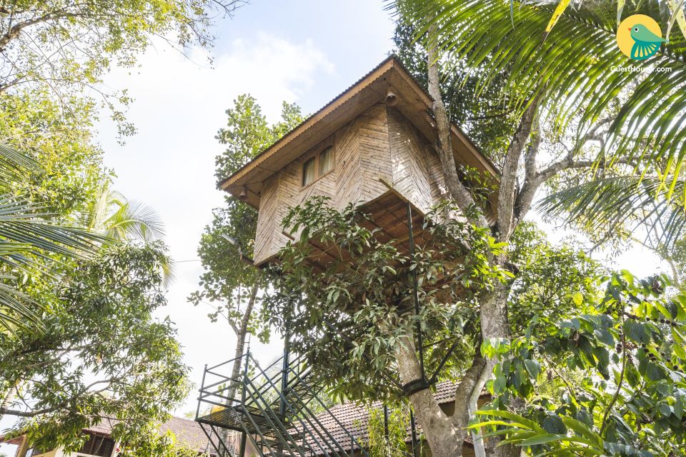 Tree house for three, perfect for friends