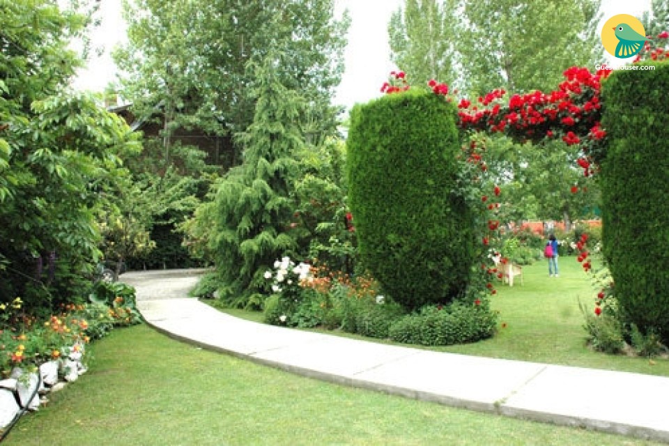 gallery-image